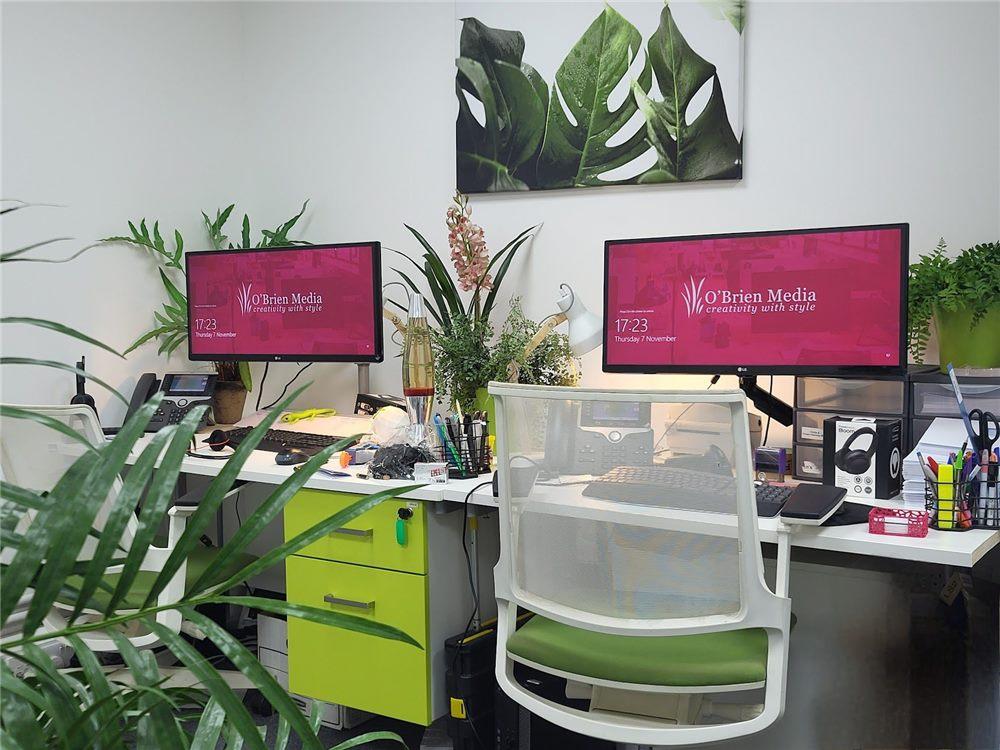 Two desks in the O’Brien Media office with pink screensavers, surrounded by green plants